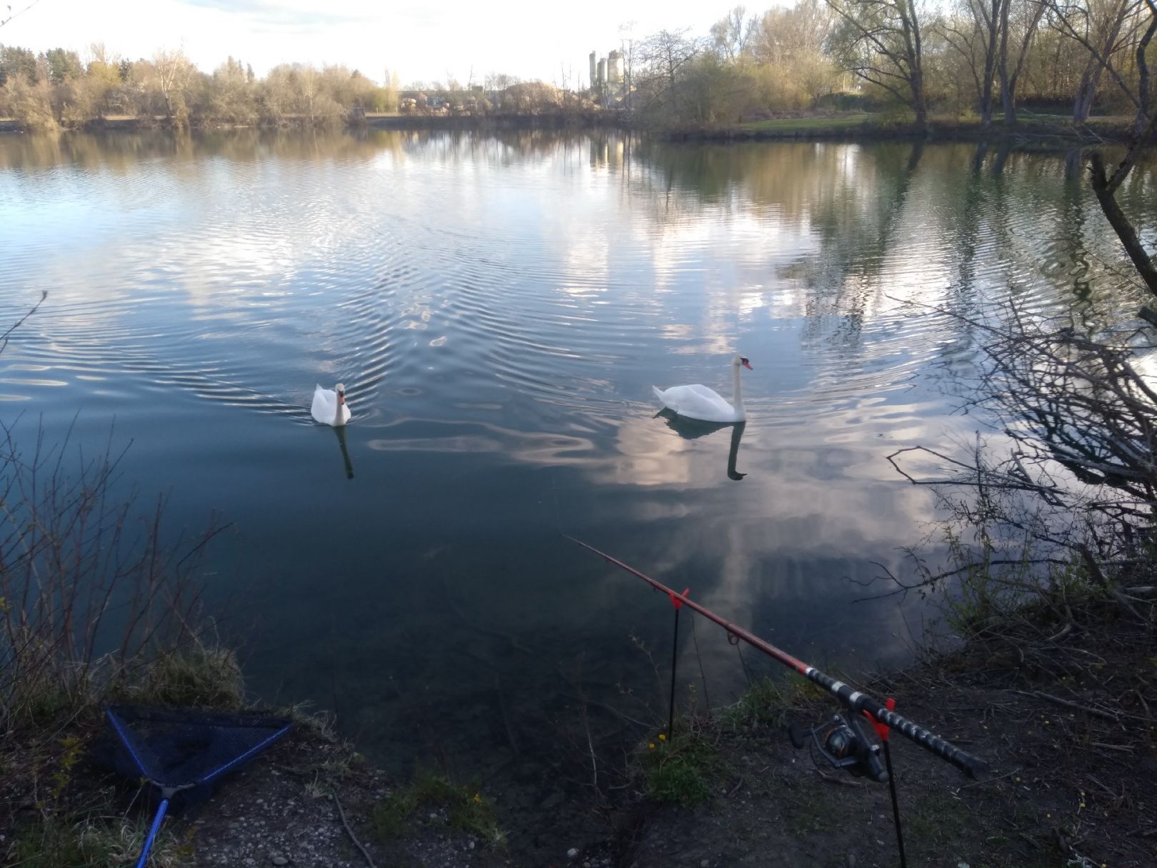Anwaltinger See (LFV Augsburg) angeln