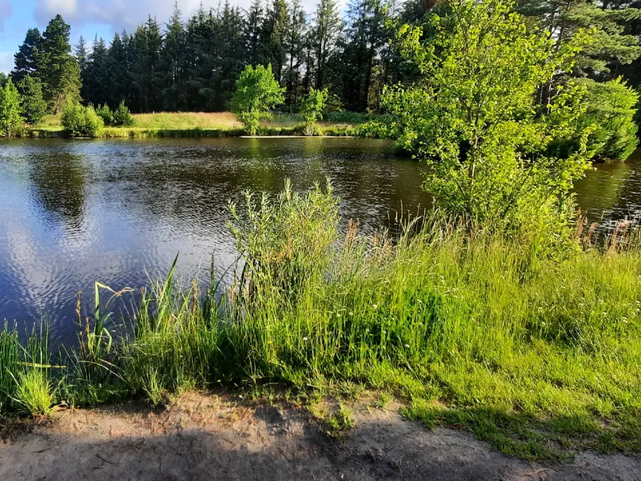 Ho Fiskesø Put and Take angeln