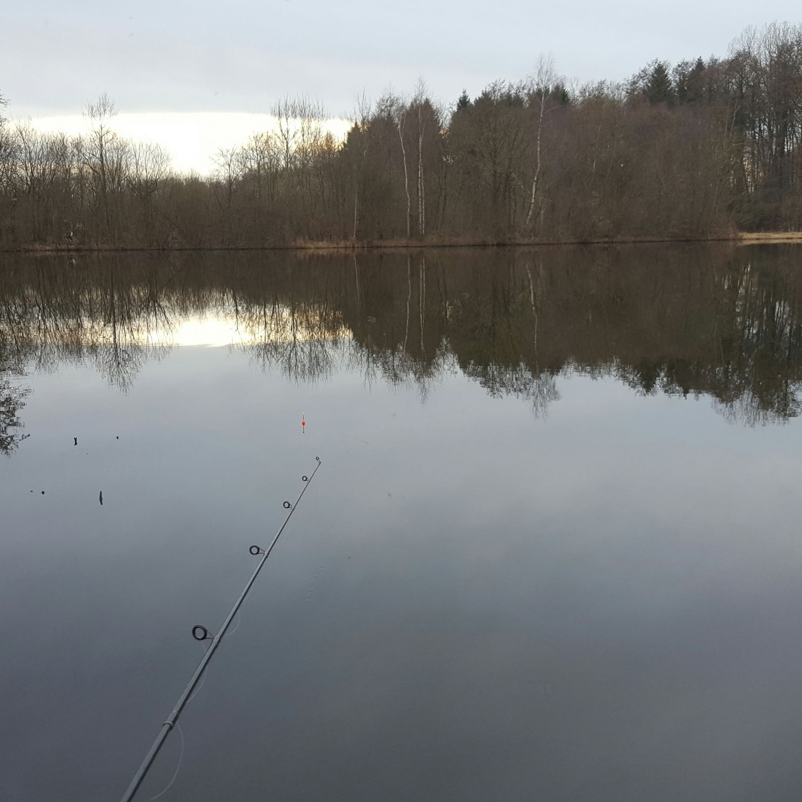 Visselsee 3 angeln