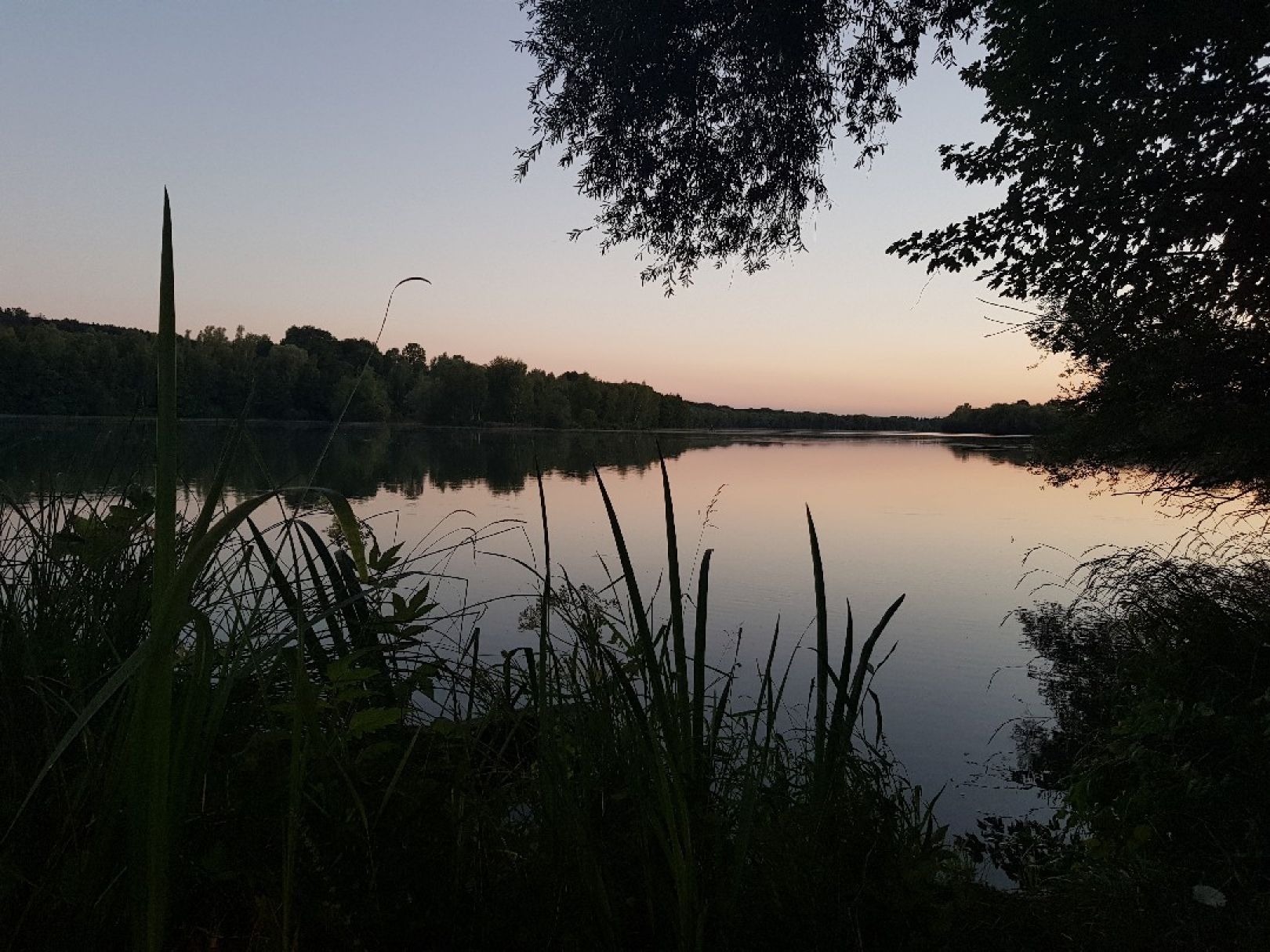 Isar 3 (Mamming) angeln