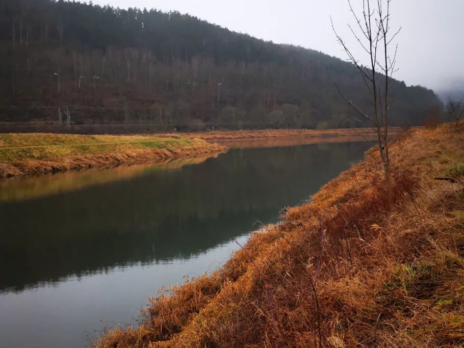 Elbe (Bad Schandau) angeln