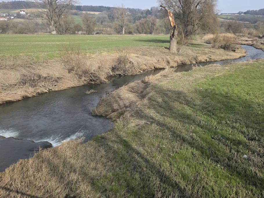 Zusam (Donauwörth) angeln