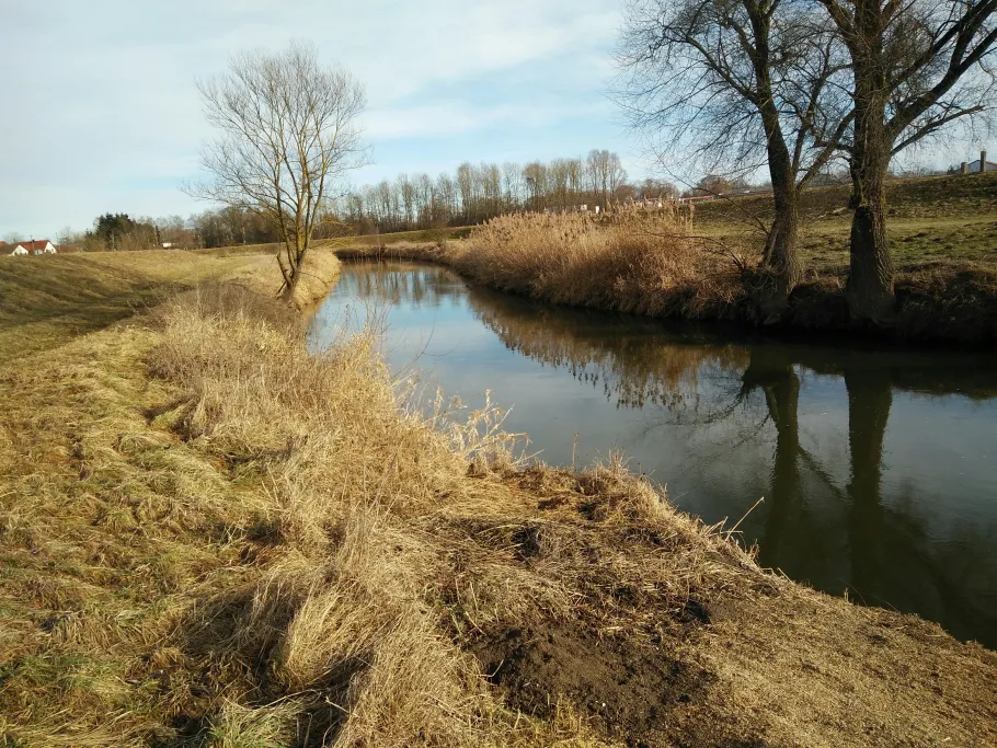 Zusam (Donauwörth) angeln