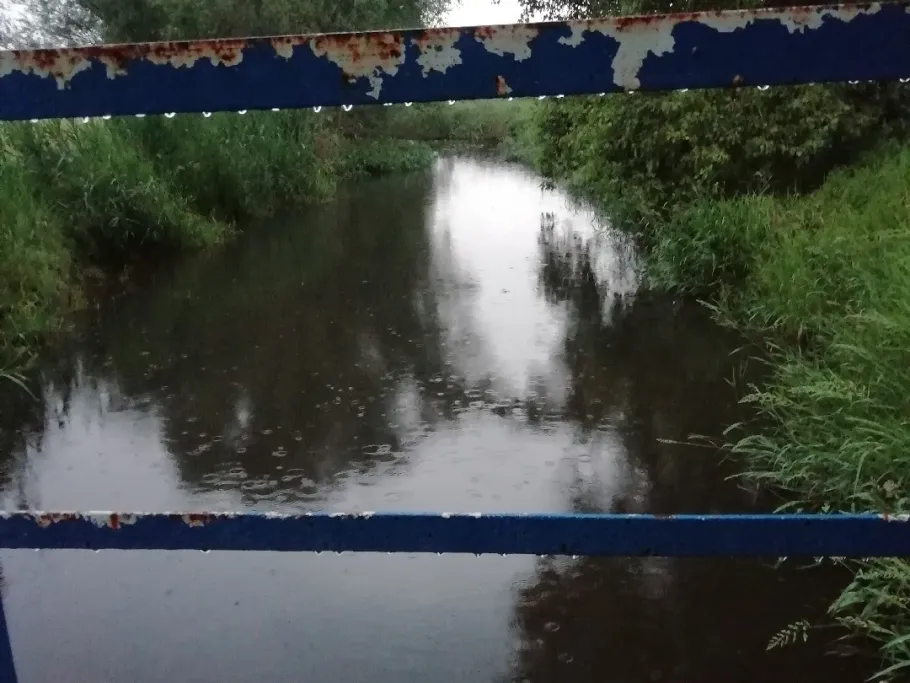 Nuthe (Zerbst) angeln