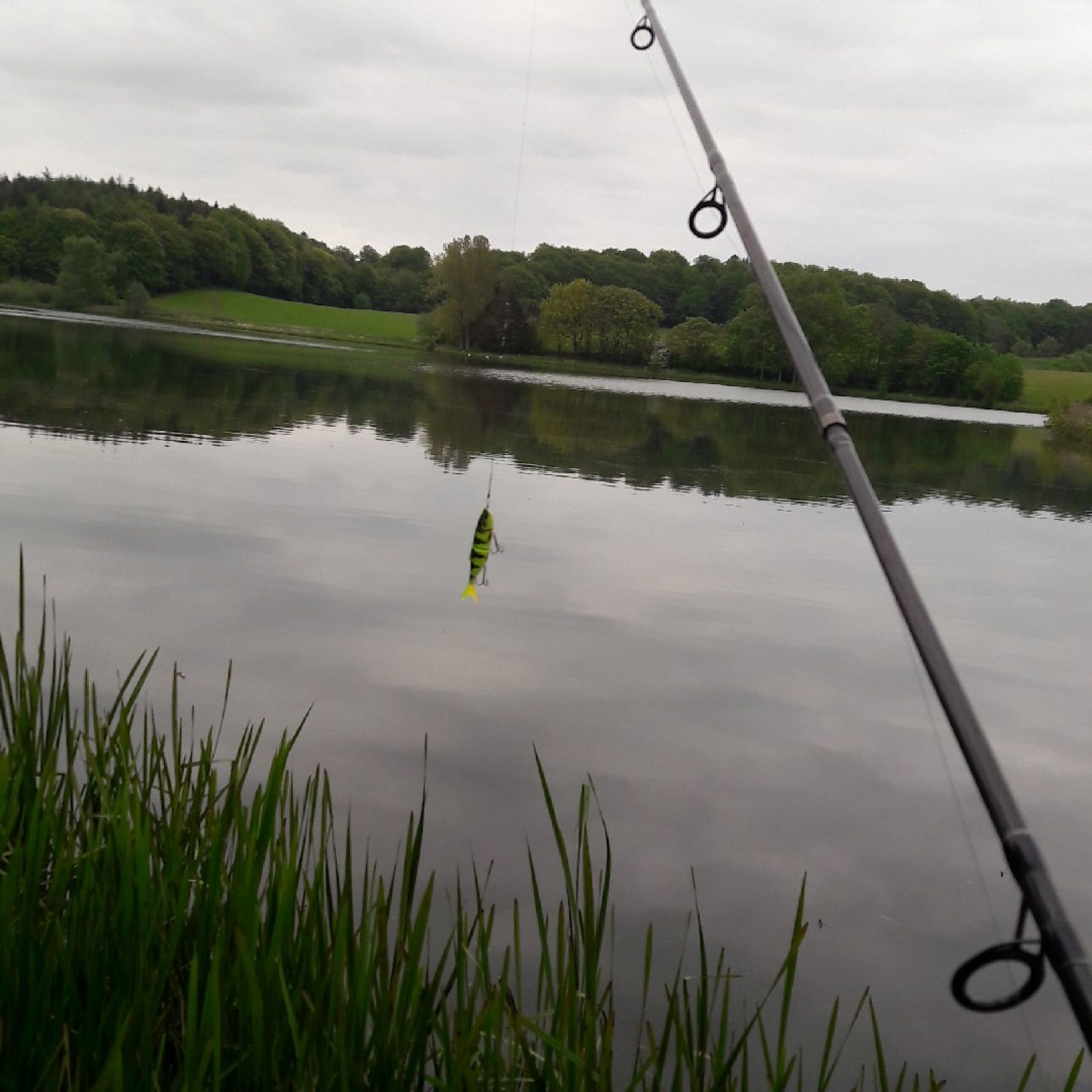 Hofteich Mönchneversdorf angeln