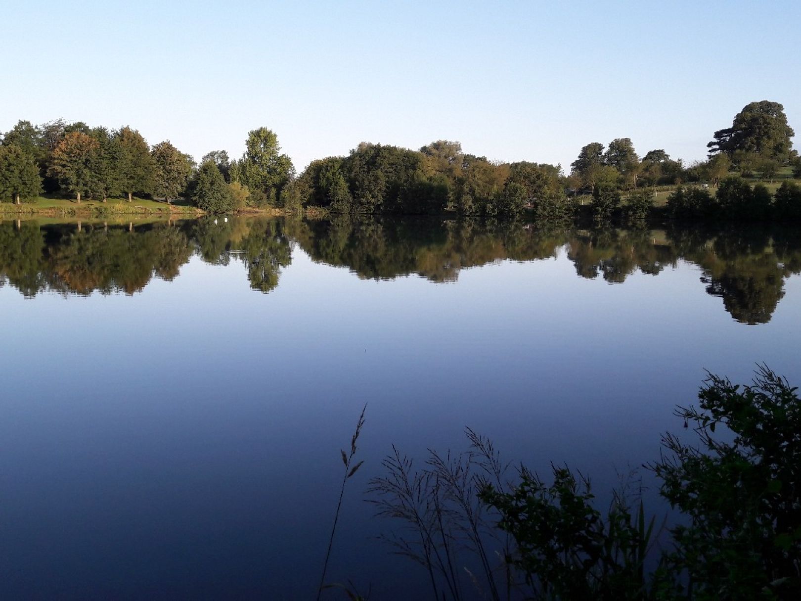 Hofteich Mönchneversdorf angeln