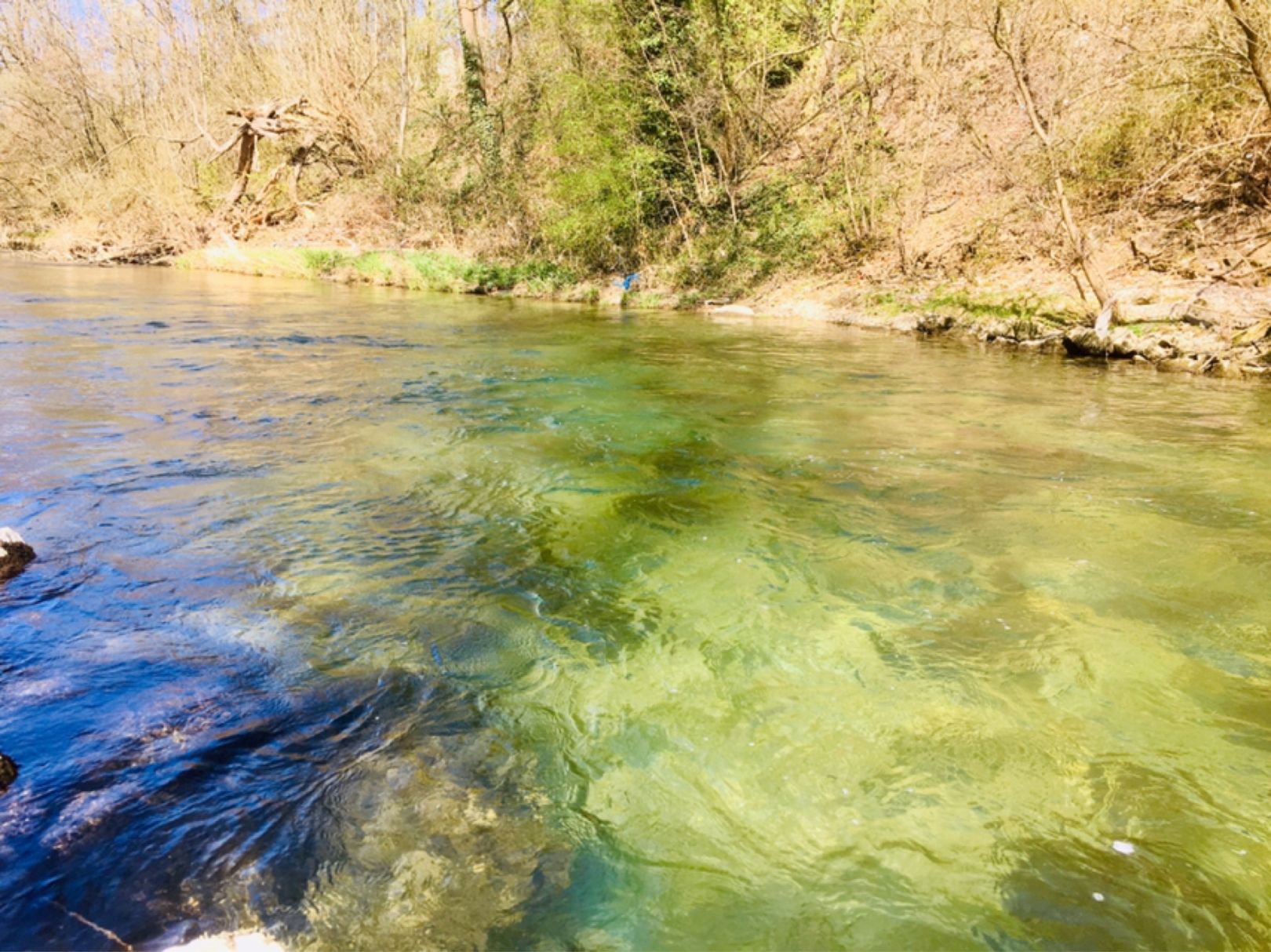 Angeln in Ottenbach