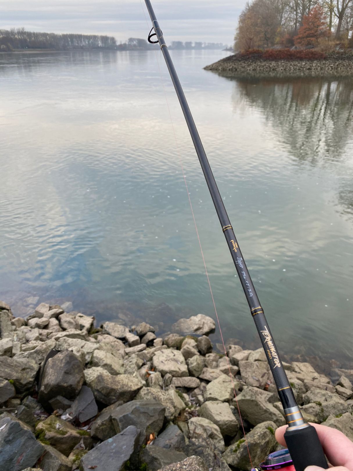 Rhein (Biblis - Hamm am Rhein) angeln