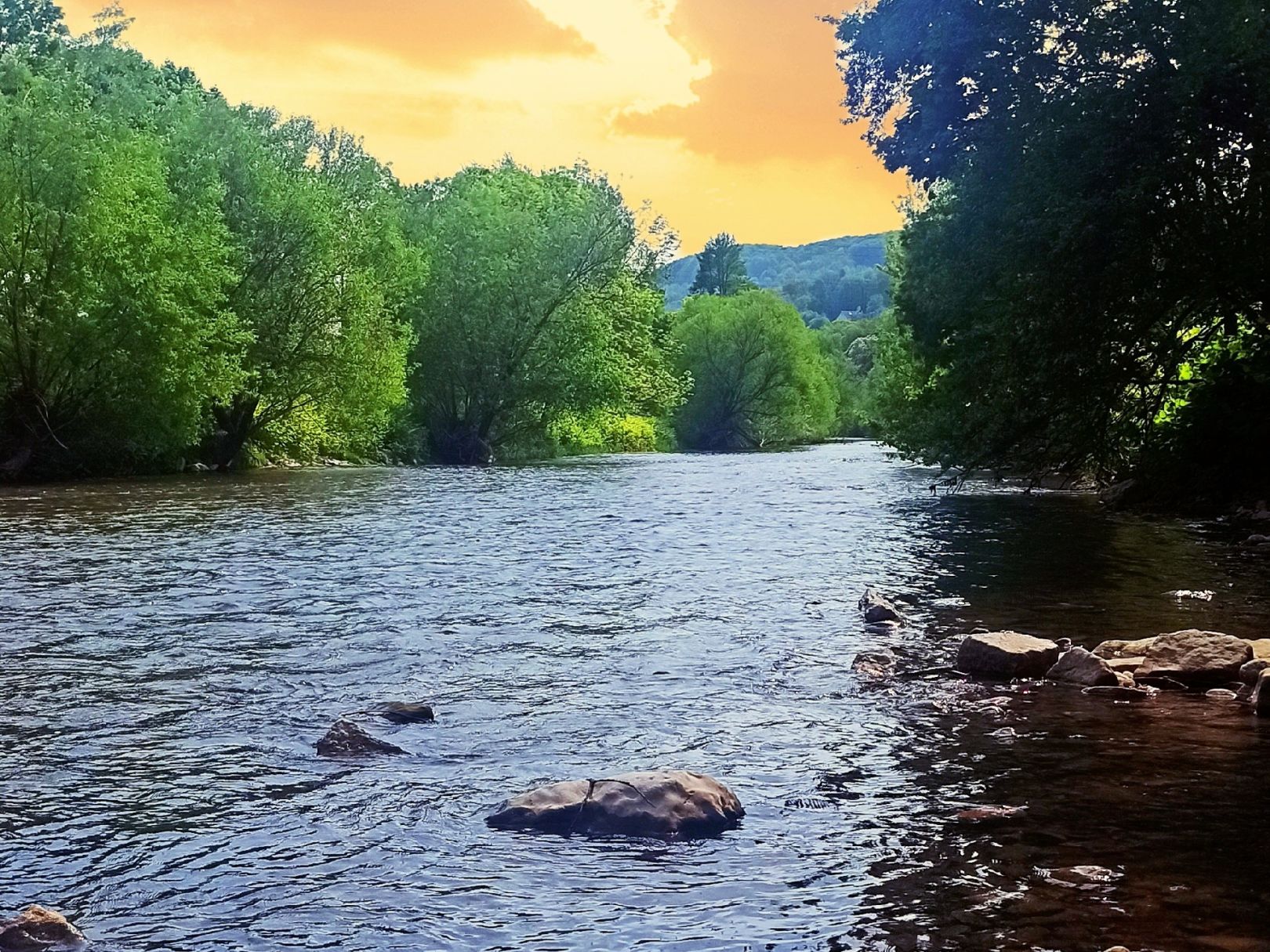 Wiese (Lörrach) angeln