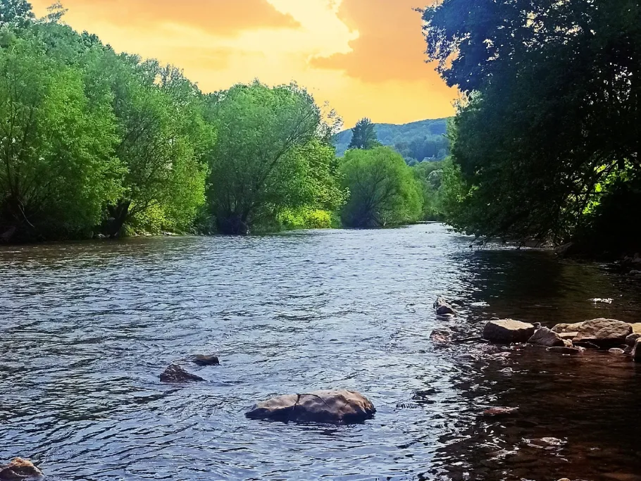 Wiese (Lörrach) angeln