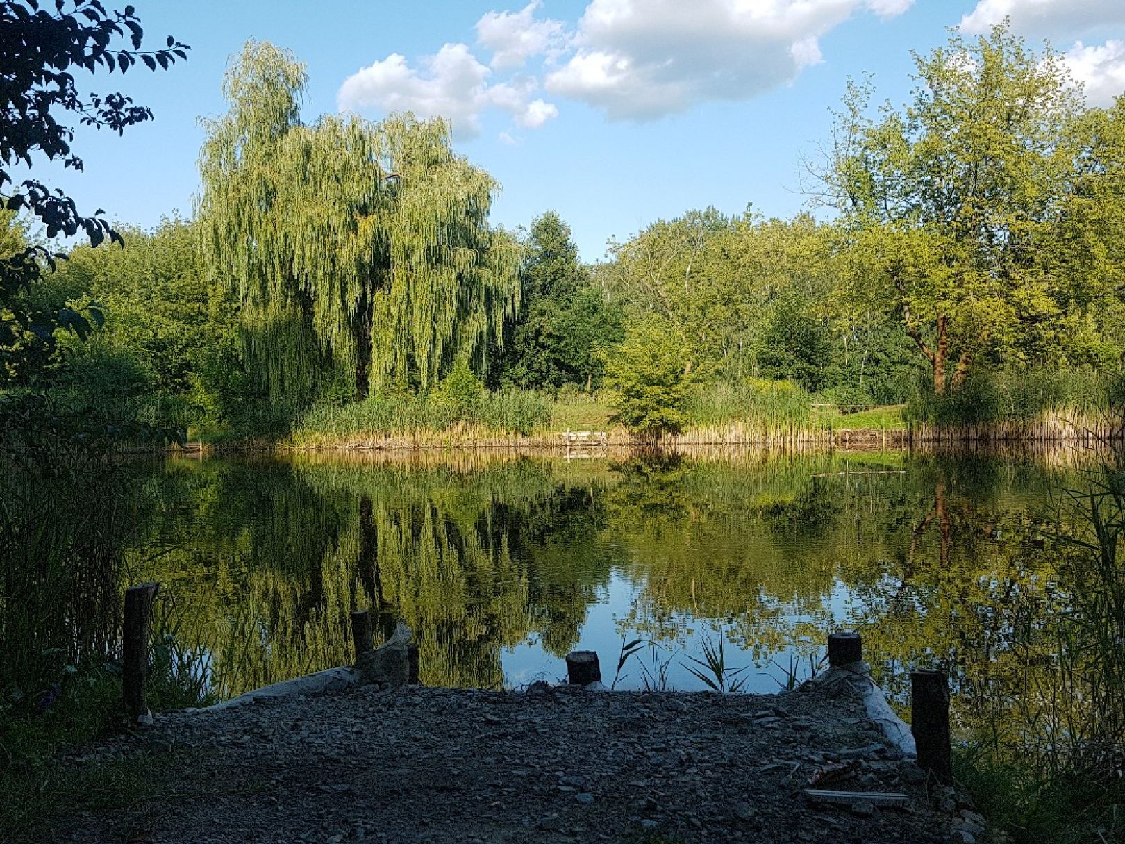 Jugendteich (Lauchhammer) angeln