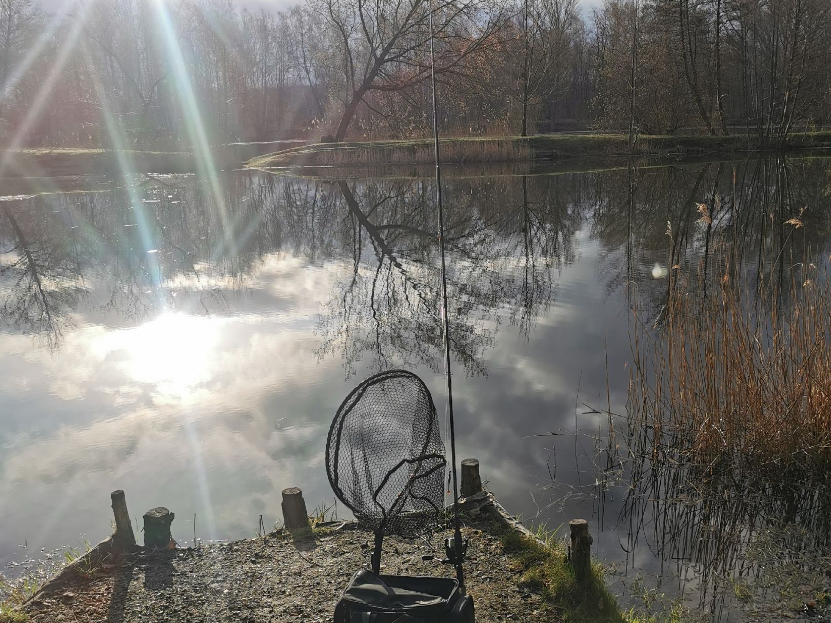 Jugendteich (Lauchhammer) angeln