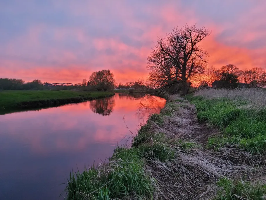 Stör (Kellinghusen) angeln