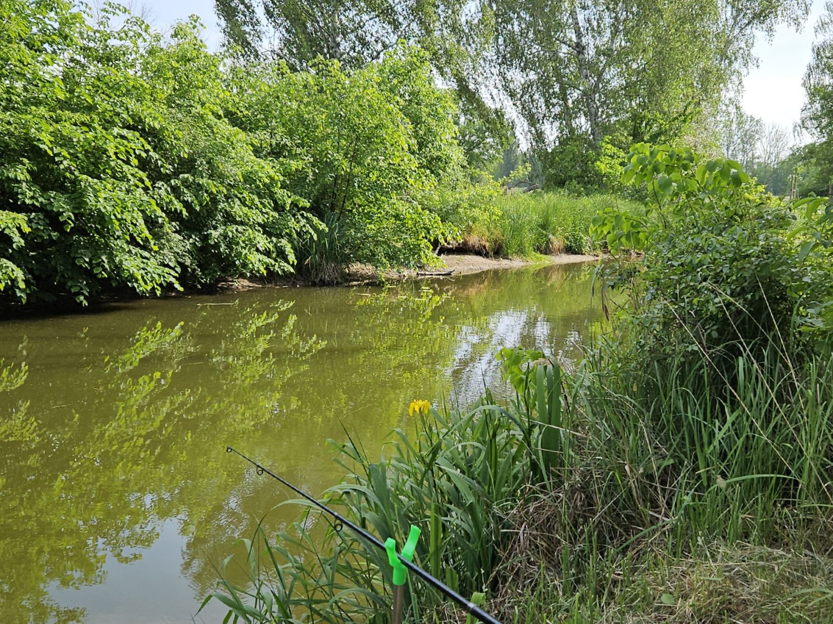 Grödel-Elsterwerdaer-Kanal angeln