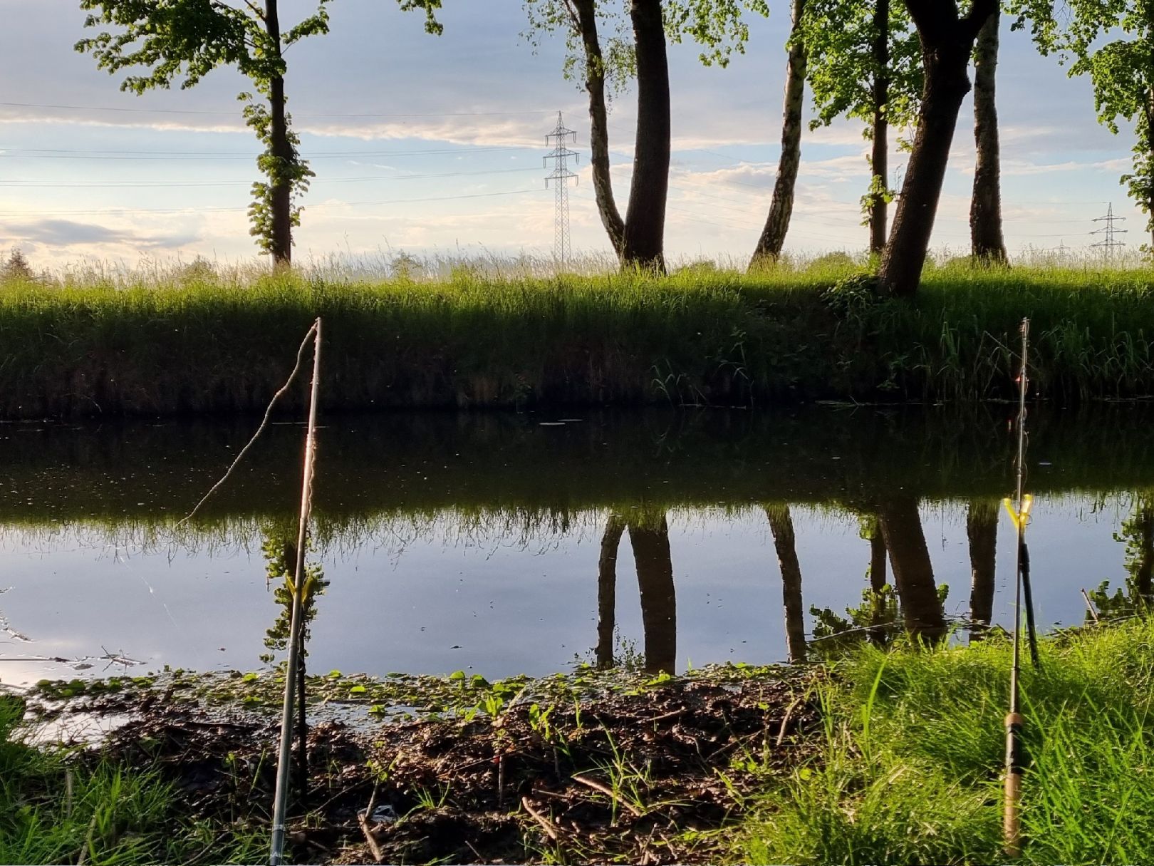 Grödel-Elsterwerdaer-Kanal angeln