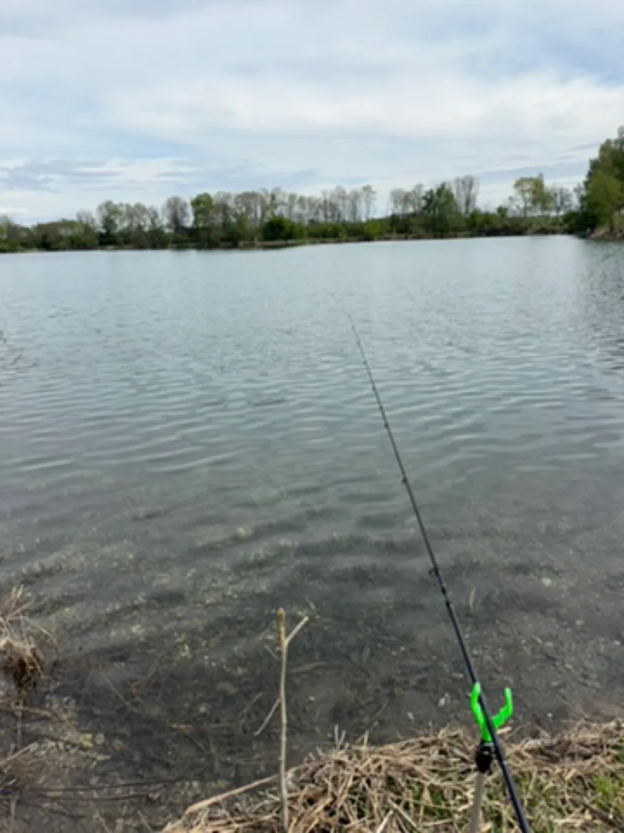 Kaisersee (Augsburg) angeln