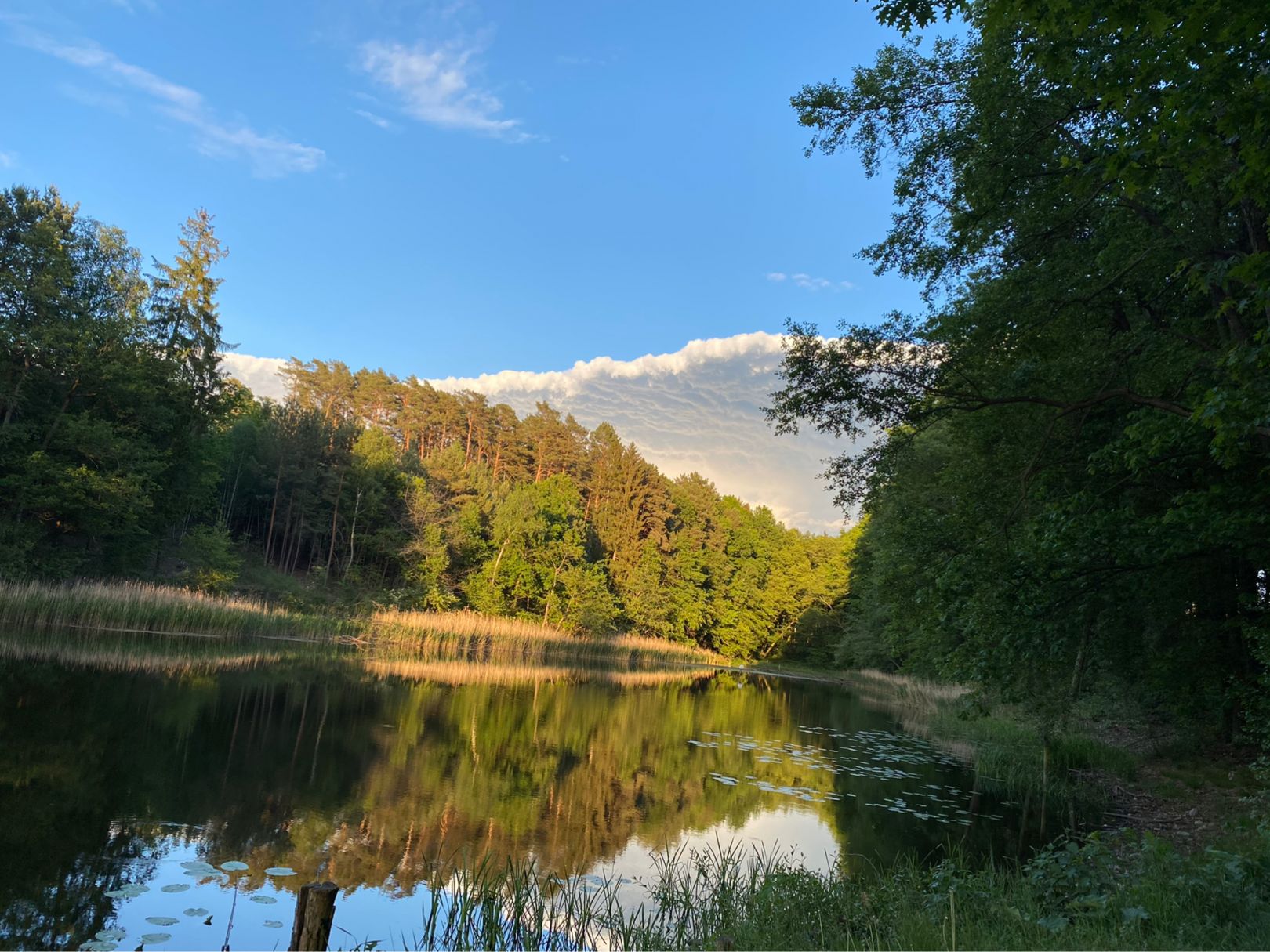 Gallensee angeln