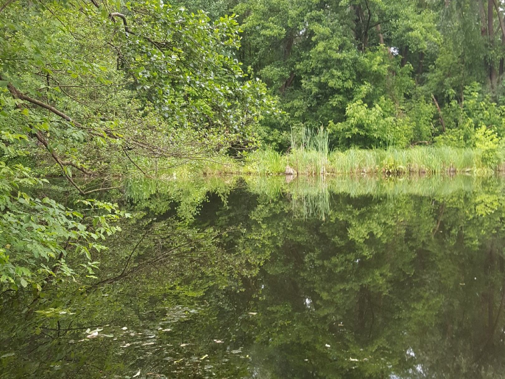 Kesselsee (Rüdersdorf) angeln