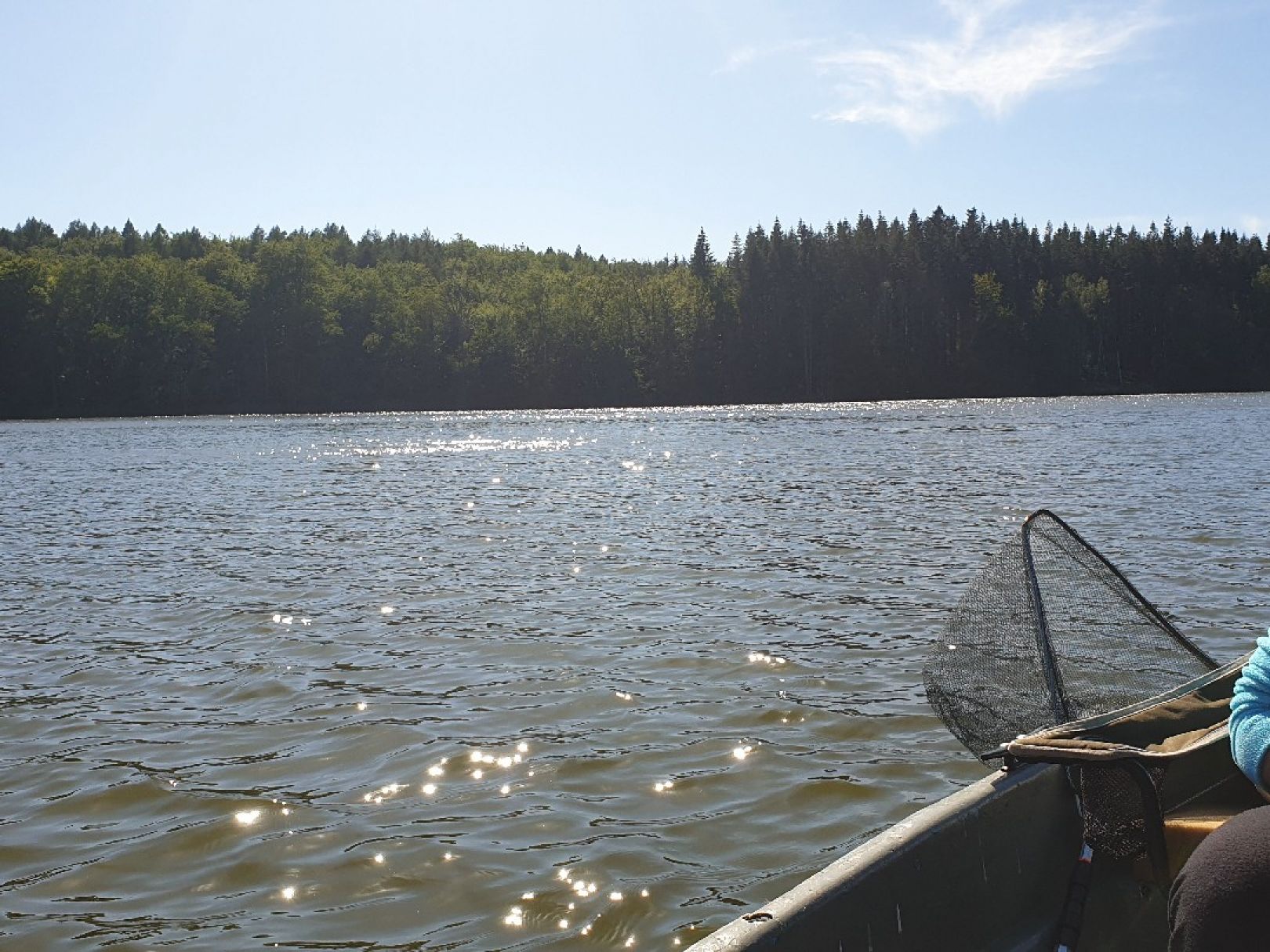Krienkowsee angeln