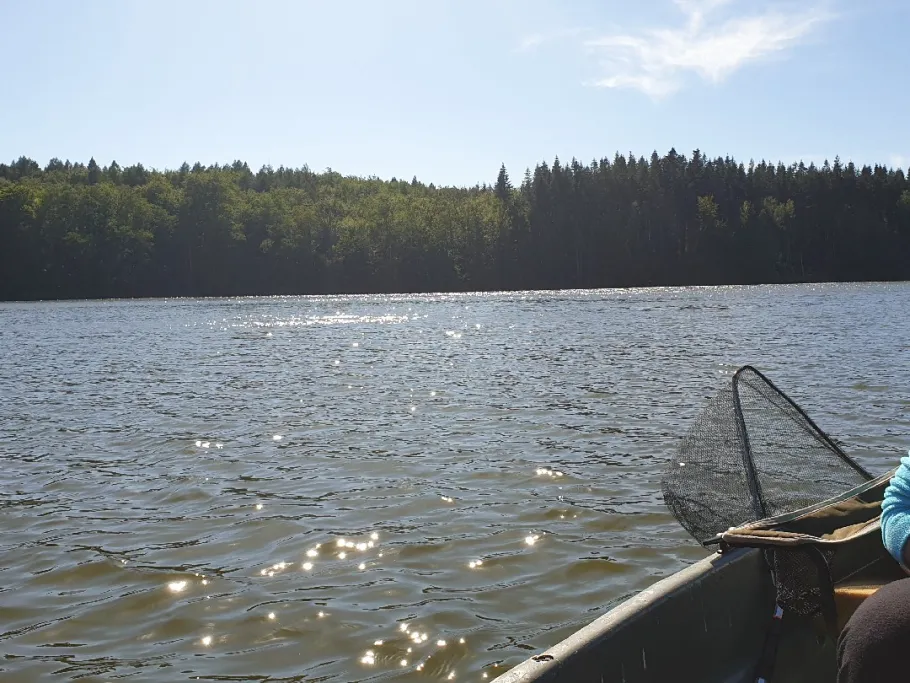 Krienkowsee angeln