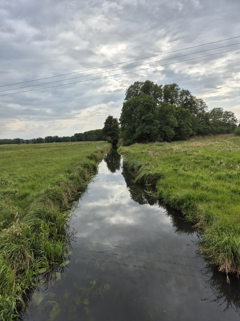 Alte Warnow (Demen) angeln