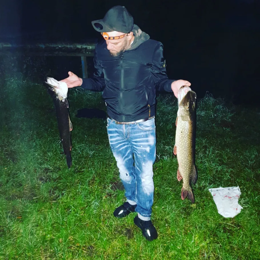 Wümme (Lilienthal) angeln