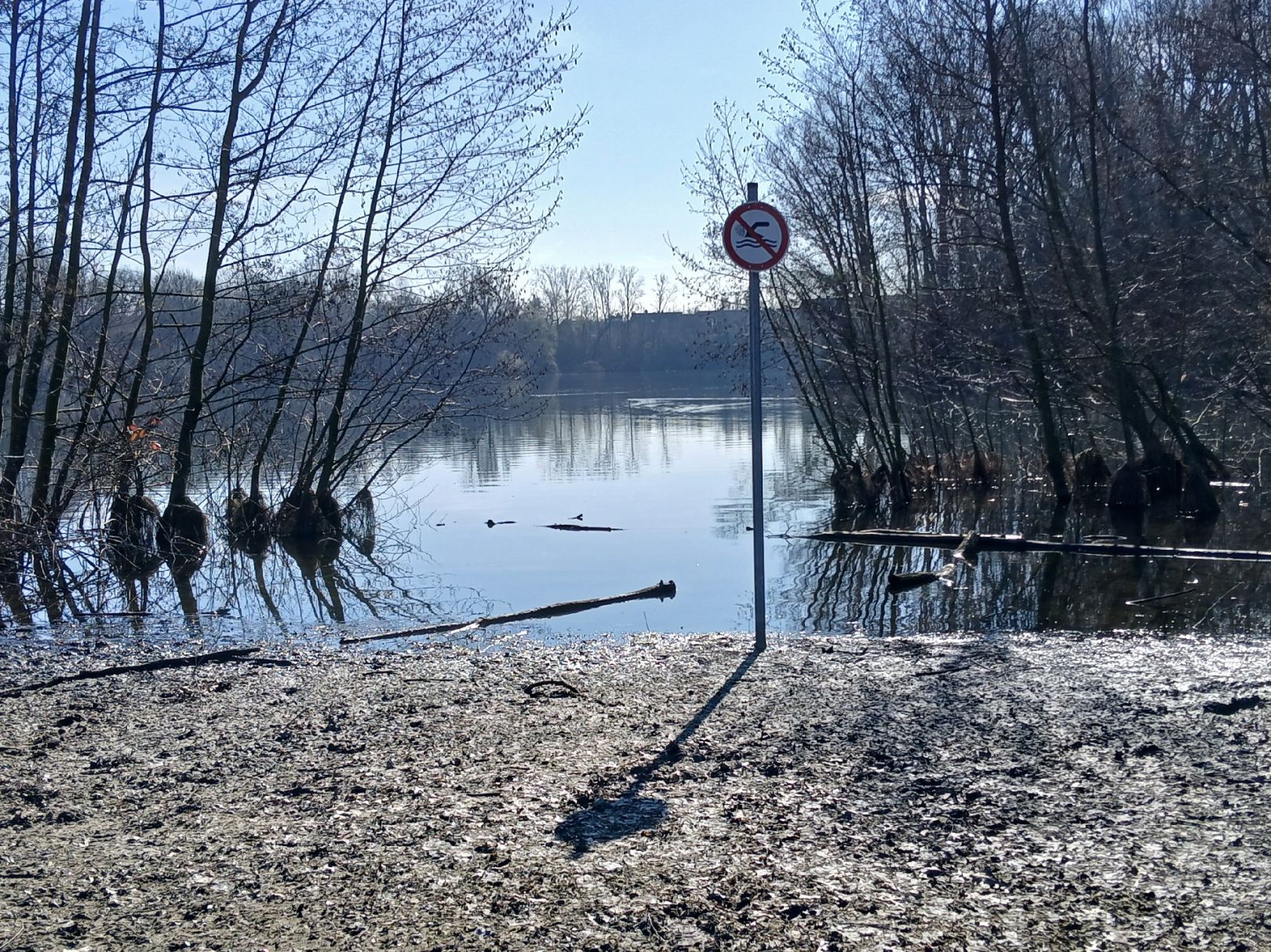 Bergsee (Schwafheim) angeln