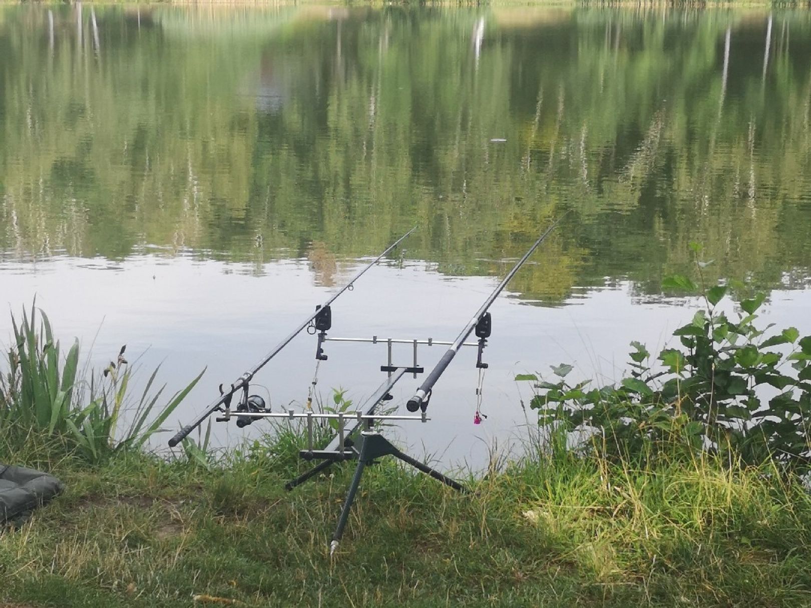 Fortschritt Meuselwitz angeln