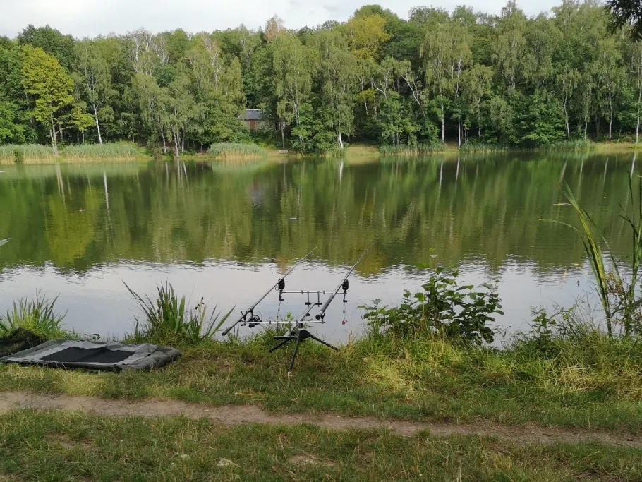 Fortschritt Meuselwitz angeln