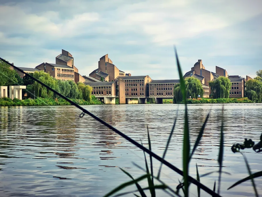 Maas (Maastricht) angeln