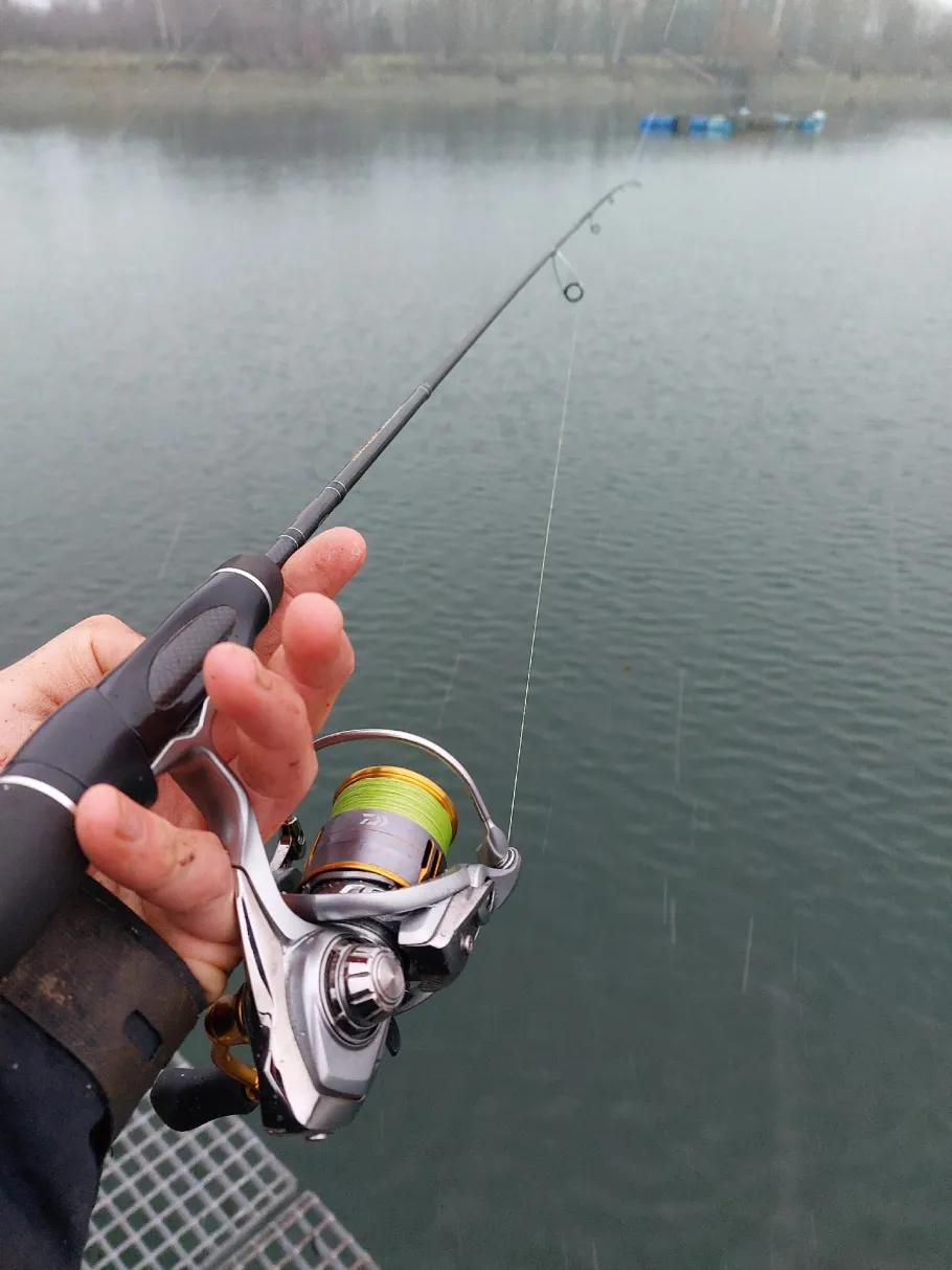 Angelsee Oker angeln