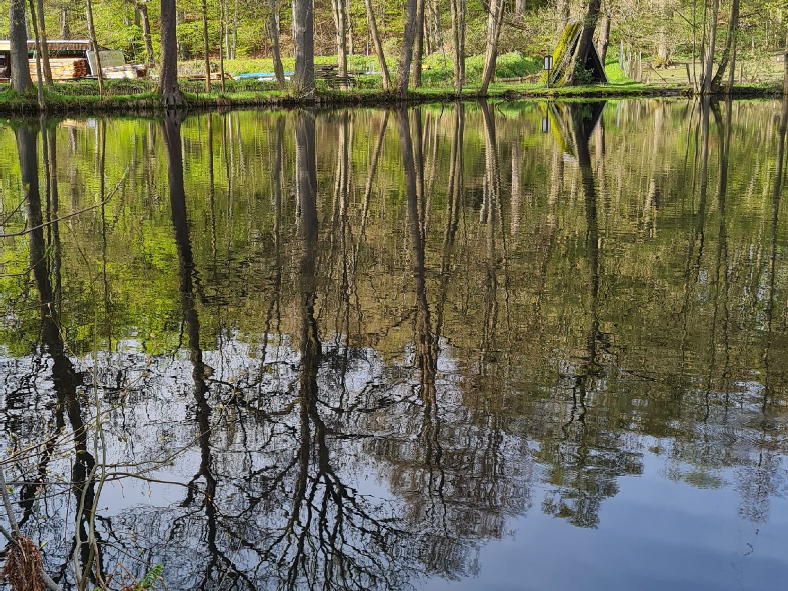 Hammerteich (Zwönitz) angeln