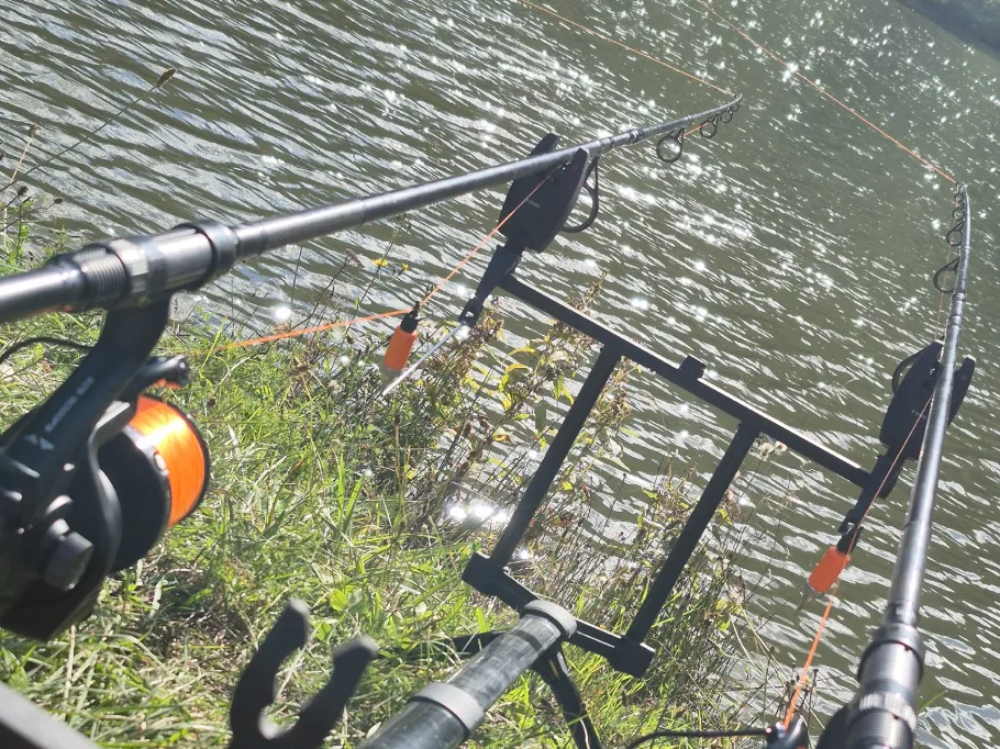 Grimmwiesensee angeln