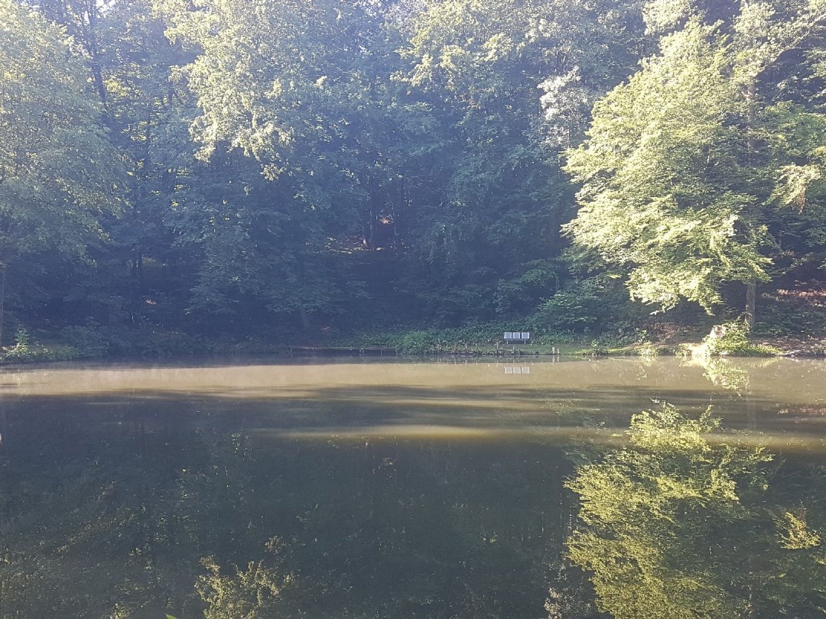 Teichanlage Altenberg angeln