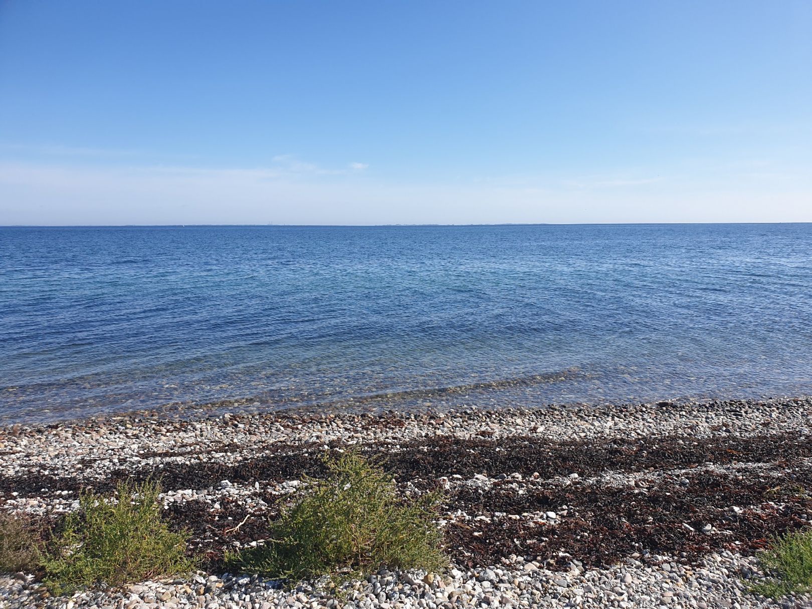 Ostsee (Tranekær) angeln