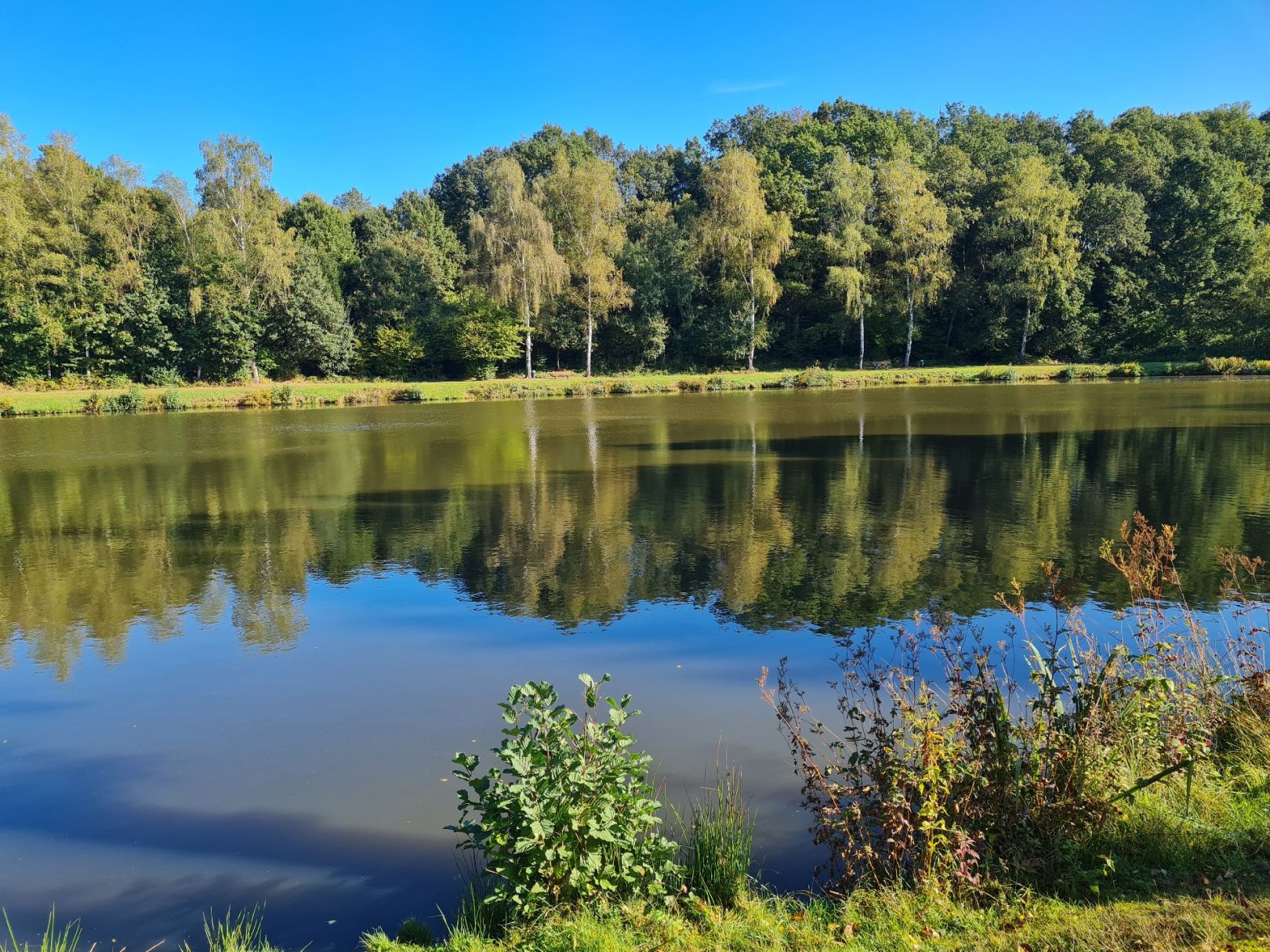 Schwarzerdener Weiher angeln