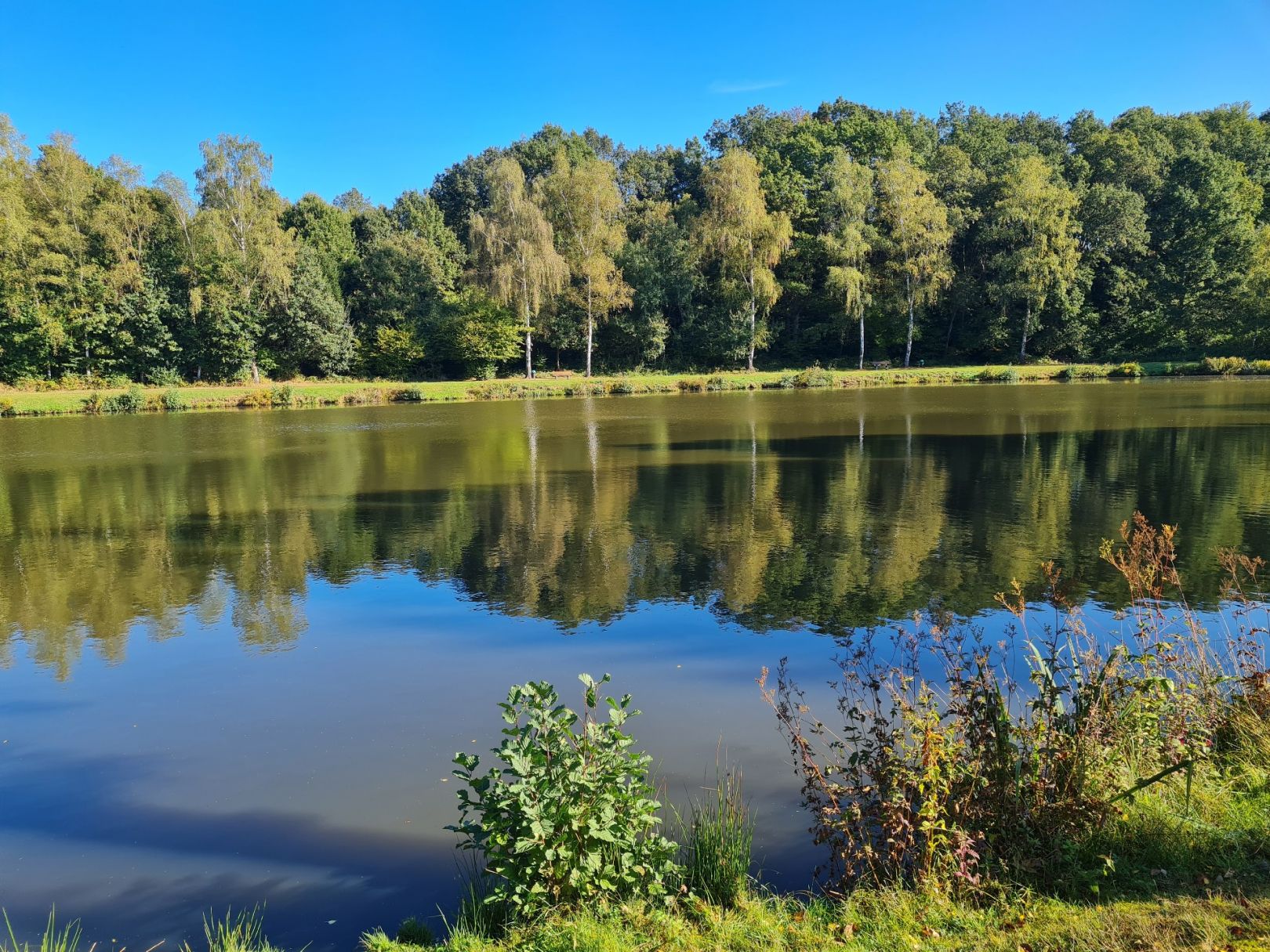 Angeln in Selchenbach