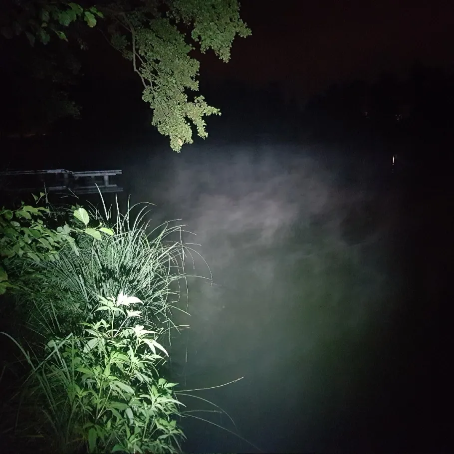 Boddensee (Birkenwerder) angeln