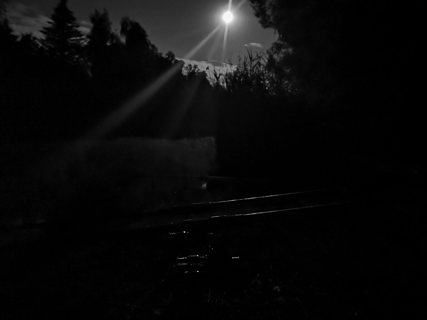 Inselteich (Wolfshain) angeln