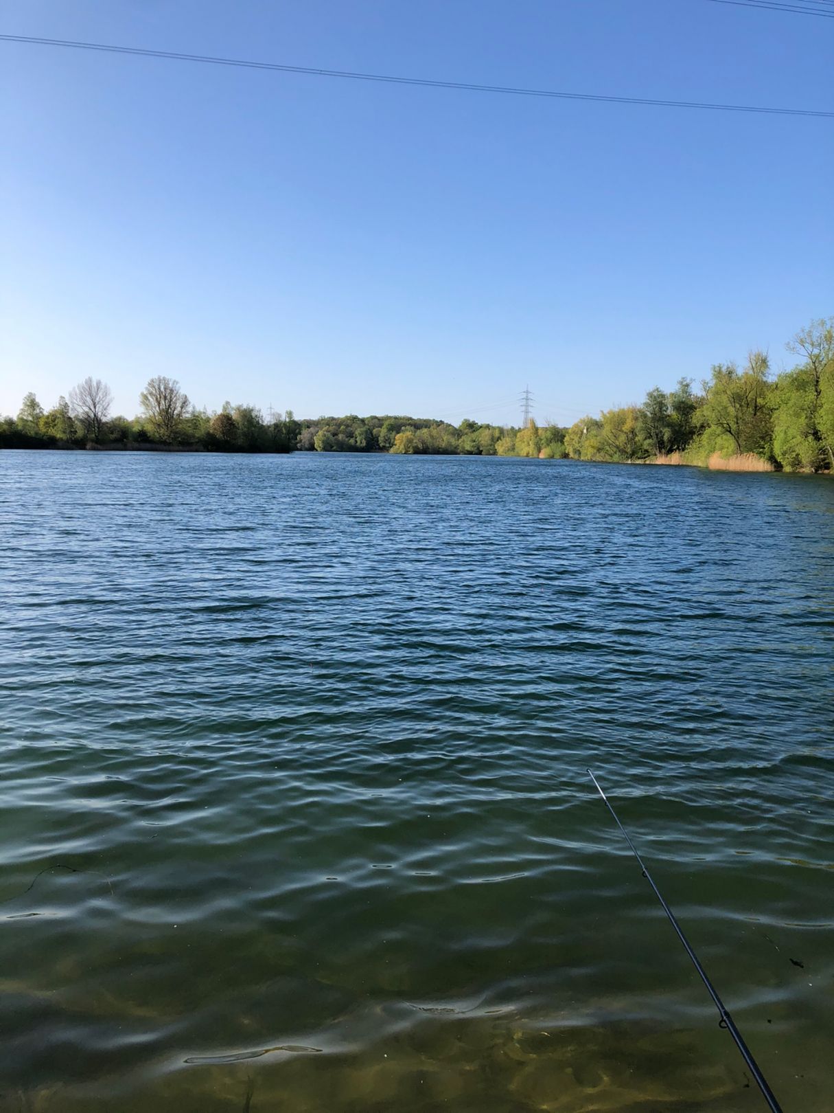 Rotter See (Troisdorf) angeln