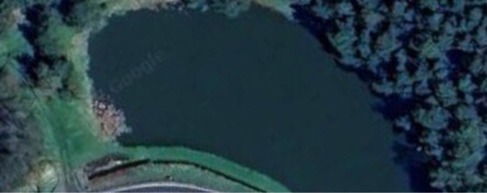 Vereinsteich AV Dorndorf (Kambachsmühle) angeln