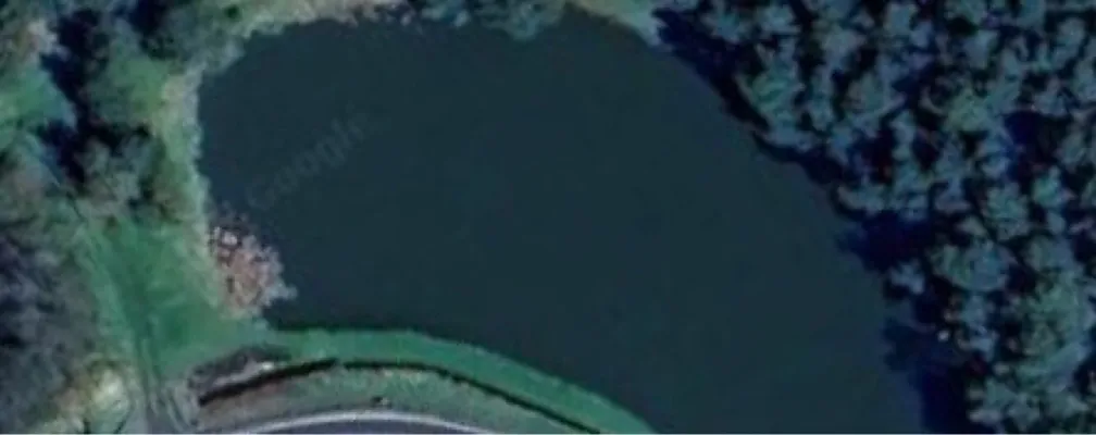 Vereinsteich AV Dorndorf (Kambachsmühle) angeln