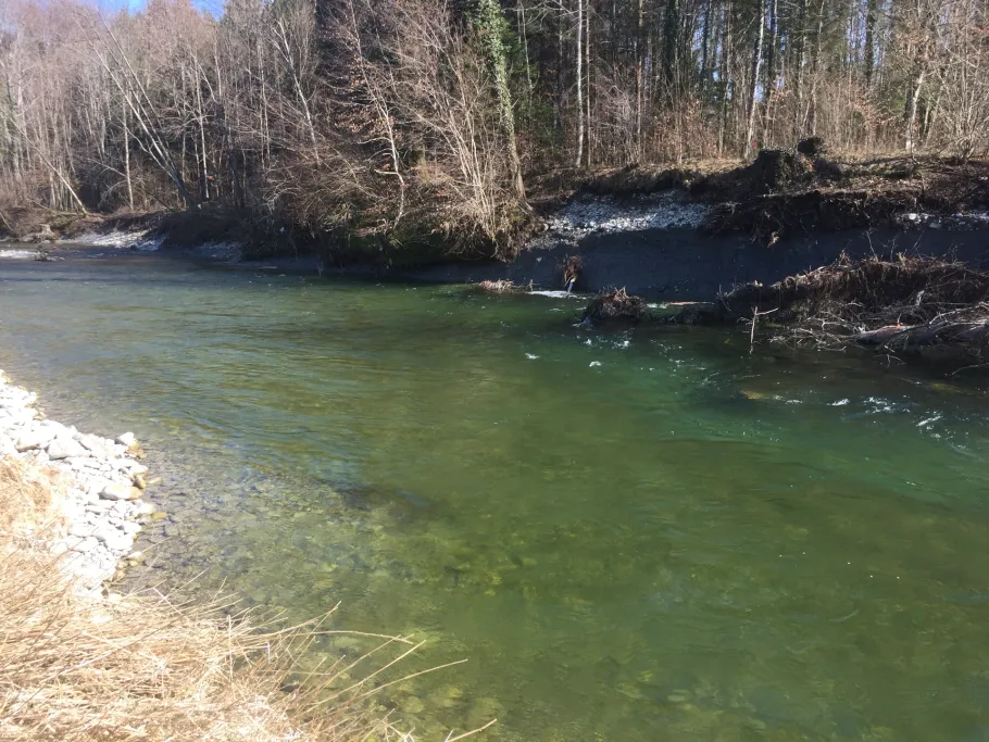 Argen (Laimnau) angeln