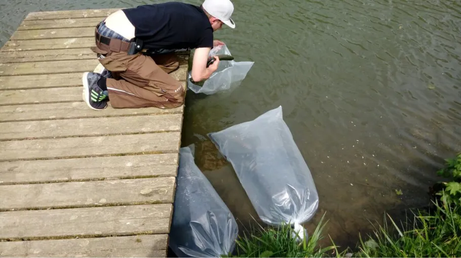 Seelbacher Weiher angeln