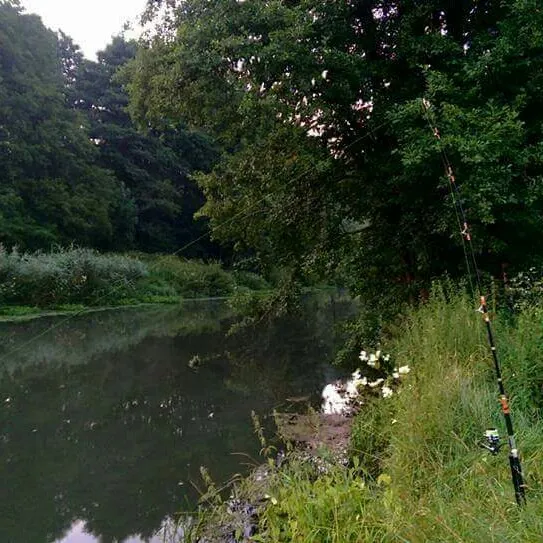 Vils (Ensdorf) angeln