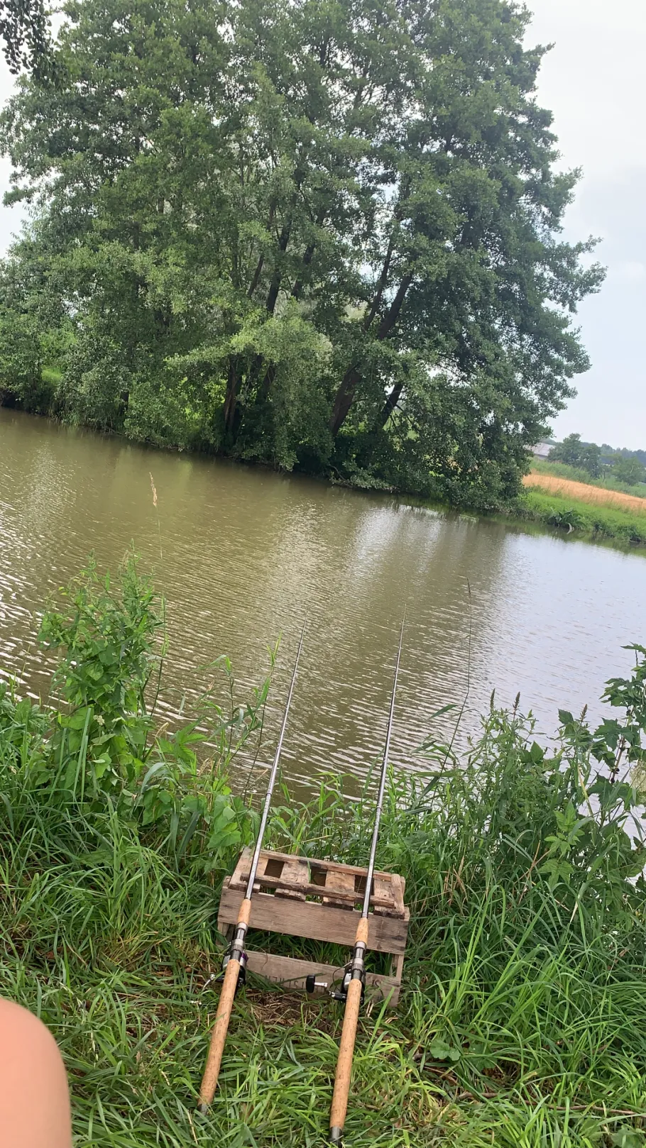 Rott (Eggenfelden) angeln