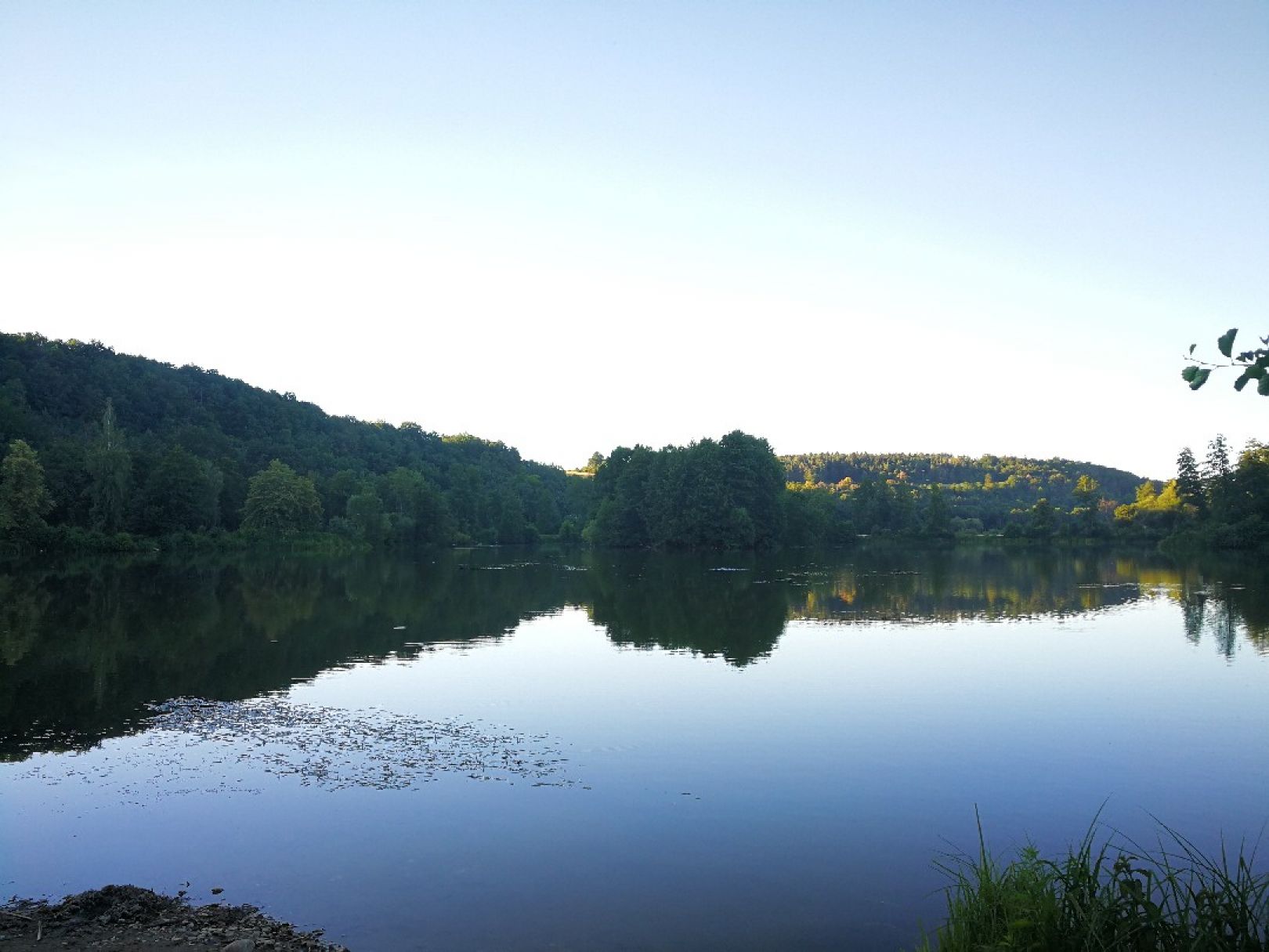 California Weiher (Burglengenfeld) angeln
