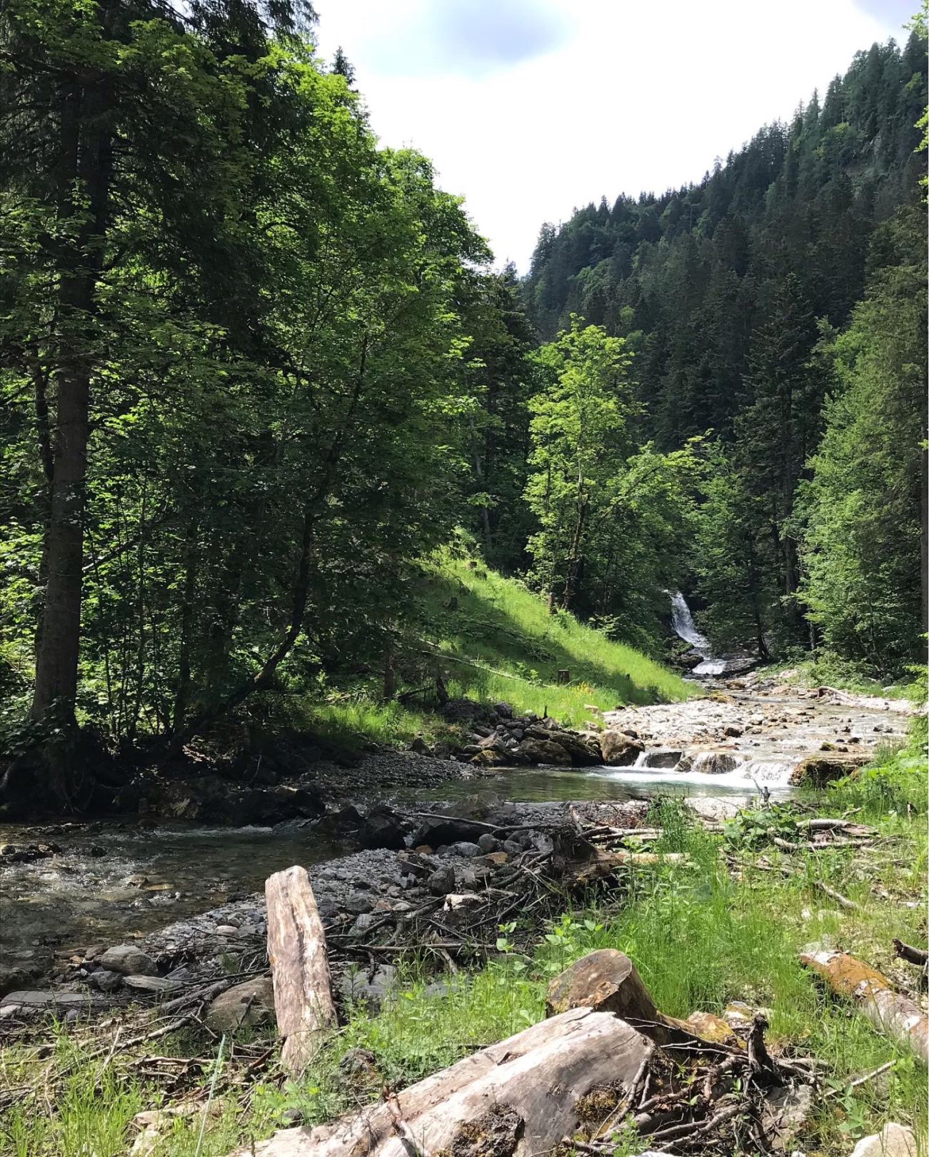 Taurach (Untertauern) angeln