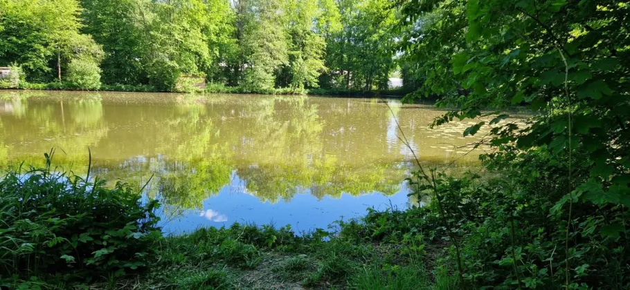 Loher Weiher (Kredenbach) angeln