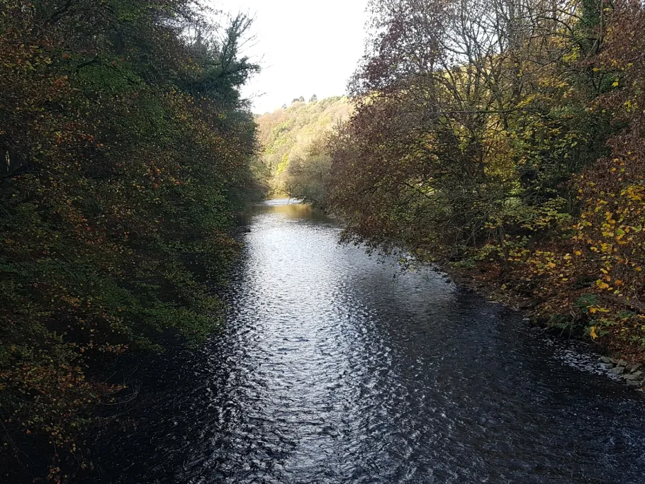 Wupper (Leichlingen-Opladen) angeln
